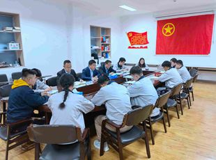 華德液壓團(tuán)委“學(xué)黨史、強(qiáng)信念、跟黨走”黨史學(xué)習(xí)教育專題組織生活會圓滿成功